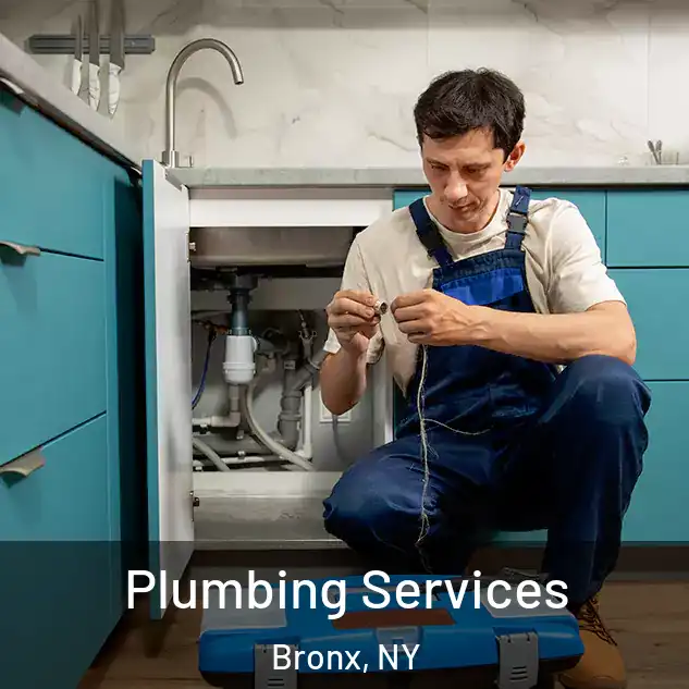  Plumbing Services Bronx, NY